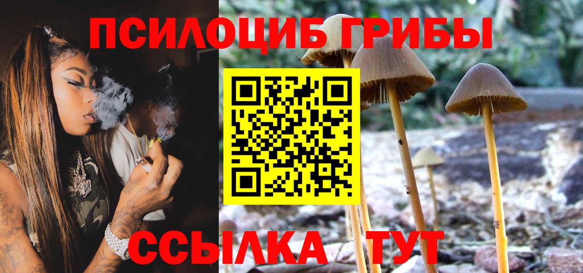 Галлюциногенные грибы Psilocybe  Вход с VPN  где можно купить   Узловая  Псилоцибиновые грибы Magic Shrooms 